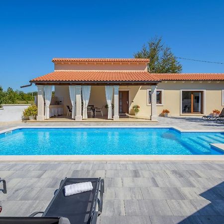 Villa Desapemani Žminj 외부 사진